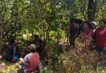 PLN UIP Nusra Lanjutkan Program Bantuan Jaringan Air Bersih di Desa Tiwotoda