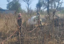 Kebakaran Lahan di Dasan Iting Suela, Api Berhasil Dikendalikan Damkarmat