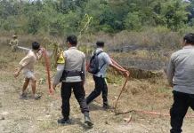 Gara-gara Bakar Sampah, Lahan 10 Are di Sesaot Terbakar