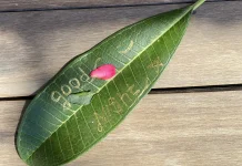 Sleep Tourism, ketika Liburan Bukan Lagi Mengejar Destinasi, tetapi Mengejar Tidur