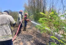 Lahan Dekat Permukiman Warga di Sakra Terbakar, Damkarmat Sigap Padamkan