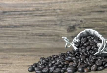 Kopi Gayo dan Alasannya Sebagai Salah Satu Kopi Termahal di Dunia