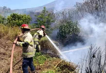 Lahan Milik Warga Terbakar, Damkarmat Bergerak Cepat Kendalikan Api