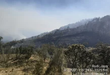 Karhutla Landa Rinjani, Jalur Torean dan Senaru Masih Ditutup