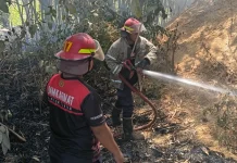 Api dari Sekam Padi Merembet ke Bangunan Heler di Sepapan Jerowaru, Lombok Timur