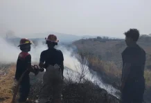Warga Panik, Api Lahap Lahan di Kokok Pedek Sugian