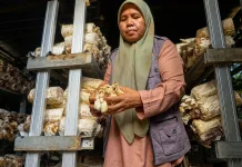 Setahun Desa Berdaya Medana: Ketika Usaha Tumbuh, Manfaat Kembali ke Masyarakat