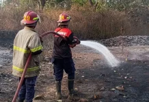 Kebakaran Lahan di Bagek Papan Berhasil Dikendalikan Damkarmat