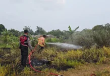 Lahan Pemakaman di Jatisela Terbakar, Polisi Bantu Pemadaman