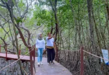 Pokmaswas Poton Bako Manfaatkan Kawasan Mangrove Sebagai Ekowisata