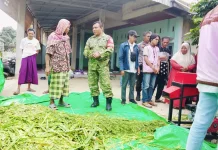 Sinergi Babinsa dan Mahasiswa KKN Perkuat Ekonomi Petani Ternak di Desa