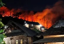 Karhutla di Desa Diha Bima, Satu Hektare Lahan Jati Terbakar
