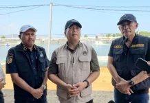 Gubernur Iqbal Tertibkan Tambak Udang Bermasalah di Sumbawa