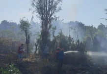 Lahan Sale Sungkar Pringgabaya Terbakar, Damkarmat Dalami Pemicu Api