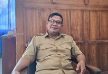 Kualitas Membaik, Harga Tembakau Lotim Diproyeksi Naik