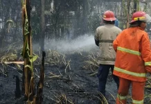 Kebakaran Lahan di Jenggik Picu Kepanikan Warga, Damkarmat Bergerak Cepat Tangani
