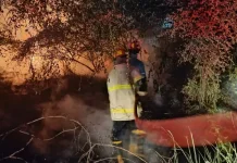 Lahan Dekat Pemukiman di Labuhan Lombok Terbakar, Damkarmat Tangani Cepat