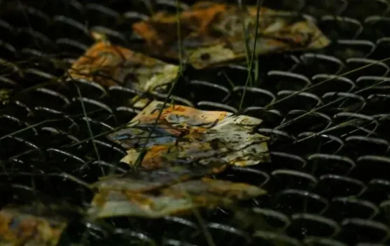 Pesawat Militer Pembawa Uang Kertas Jatuh di Bolivia, 15 Orang Tewas