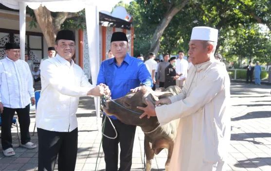 Keikhlasan Polda NTB: Saat Daging Kurban Menjadi Jembatan Kedekatan dengan Rakyat