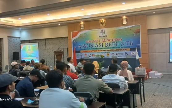 Deklarasi BEEF NTB, Buka Akses Pasar dan Edukasi bagi Ribuan Peternak NTB