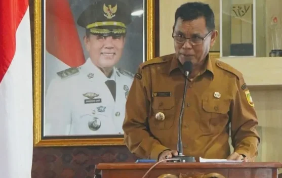 Tanam Jagung di Lahan Pribadi Tidak Dilarang