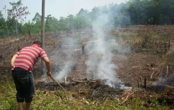 Musim Kemarau Tiba, Waspadai Karhutla