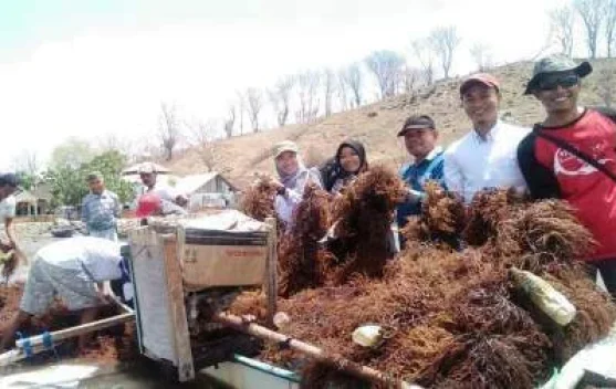 Potensi Laut Dompu Capai Rp400 Miliar, Rumput Laut dan Tuna Jadi Andalan