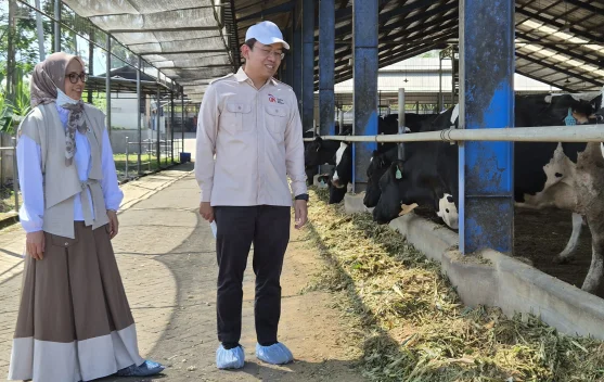 Belajar dari KAN Jabung, Koperasi Pertanian dengan Perputaran Bisnis Rp400 Miliar