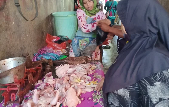 Lesunya Fiskal Daerah Mulai Pukul Pedagang dan UMKM di Dompu