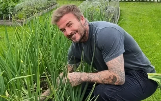 Dari Lapangan Hijau ke Kebun, Aksi Seru David Beckham Jadi Petani