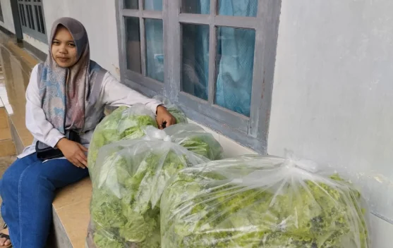 UMKM Lokal Dukung Program MBG, UD Lapak Hijau Pasok Sayuran Hidroponik Berkualitas