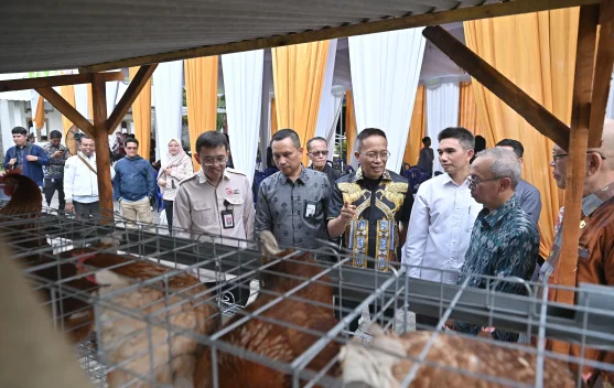 Bank NTB Syariah Dukung Program Desa Berdaya, Salurkan Bantuan Ayam Petelur
