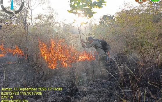Tambora Terbakar: Api, Aktivitas Manusia, dan Celah Pengawasan