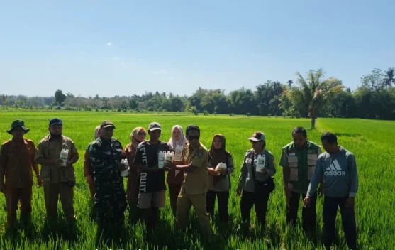 Babinsa dan Dinas Pertanian Dorong Petani Lebih Produktif