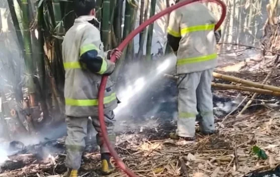Kebakaran Lahan di Batuyang Diduga akibat Puntung Rokok