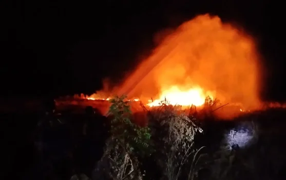 Kebakaran Lahan di Padak Guar Sambelia Berhasil Dikendalikan