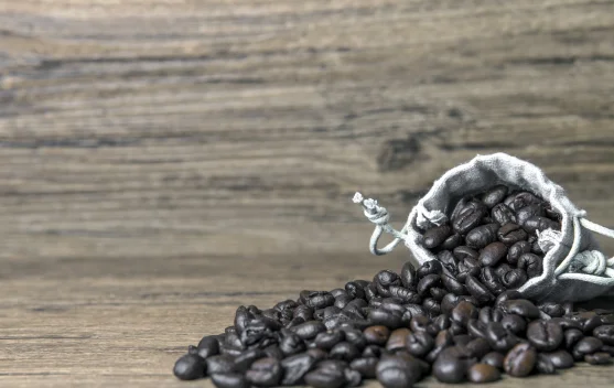 Kopi Gayo dan Alasannya Sebagai Salah Satu Kopi Termahal di Dunia