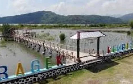 Mangrove Lombok Barat Tren Pertumbuhan Bakau yang Positif