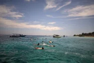 Forbes Nobatkan Gili Trawangan Sebagai Destinasi Berenang  Terbaik Dunia