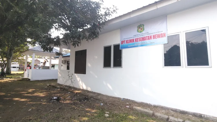 UPT Klinik Hewan Medan Buka Sterilisasi Kucing Jantan Setiap Hari Rabu