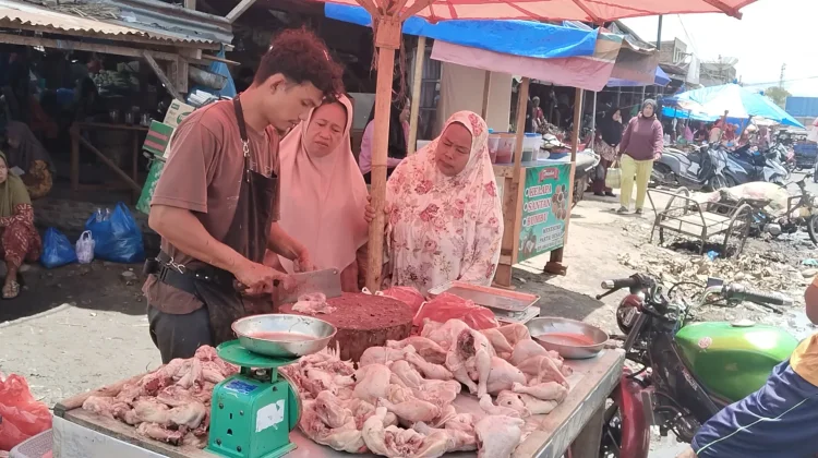 Menjelang Ramadan, Harga Ayam Potong di Tanjungbalai Capai Rp55 Ribu