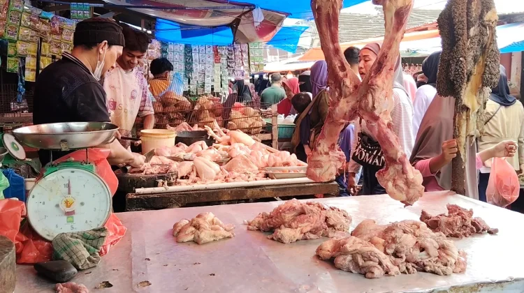 Stok Ayam Dikurangi dari Kandang, Pasokan Pasar Menyusut