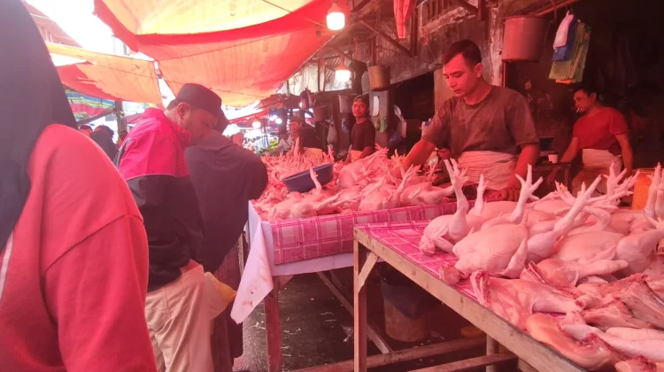 Harga Ayam Naik, Warga Kurangi Konsumsi Jelang Ramadan