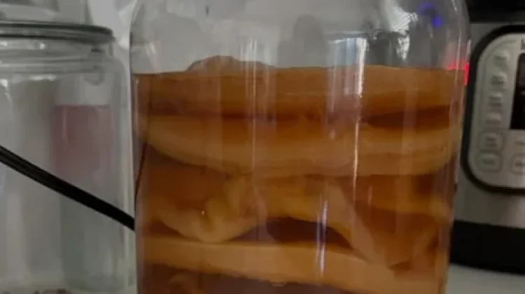 Manfaat Kombucha Bagi Tubuh