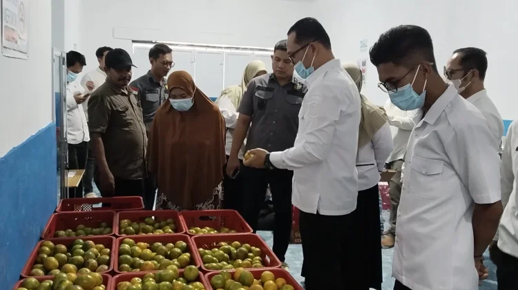 Wakil Walikota Tanjungbalai Pantau Sejumlah SPPG