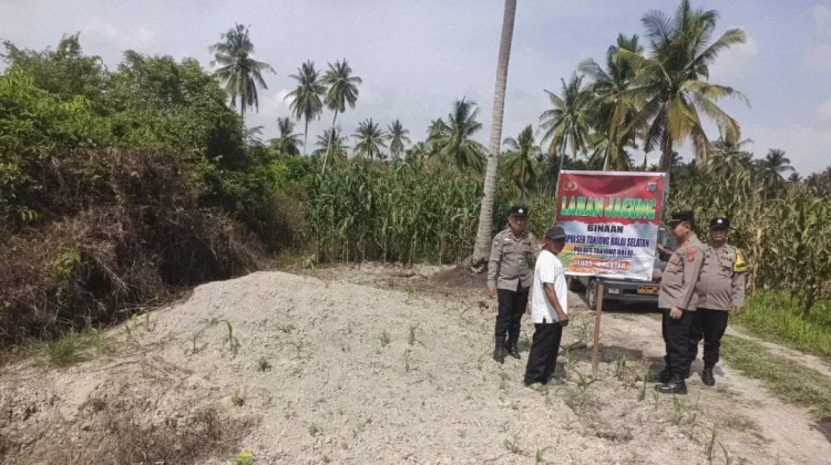 Polsek Tanjungbalai Selatan Tanam Jagung Dukung Ketahanan Pangan