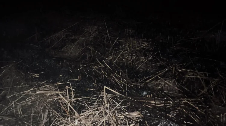 Lahan Kering di Tanjungbalai Terbakar