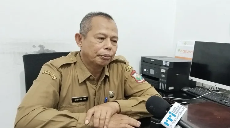 Pemkot Tanjungbalai Pantau Harga Ayam Menjelang Idulfitri