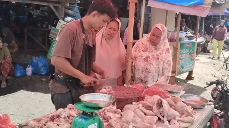Harga Daging Ayam di Sumut Mulai Turun