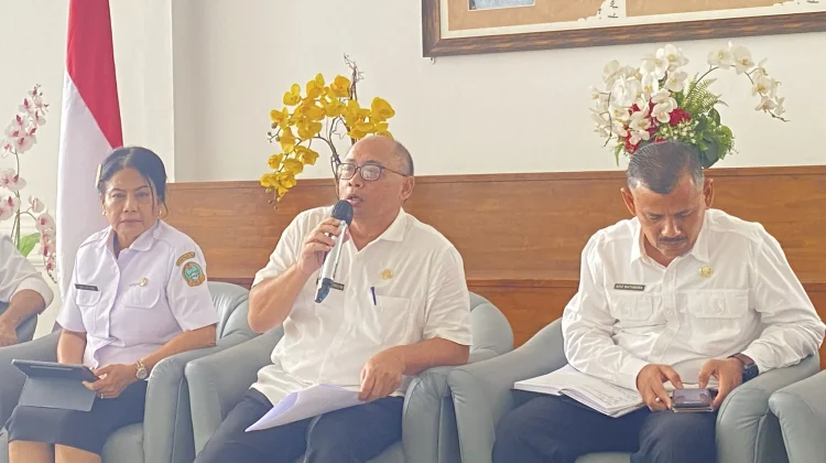 Sumut Kejar Target Investasi Rp100 Triliun Hingga 2029